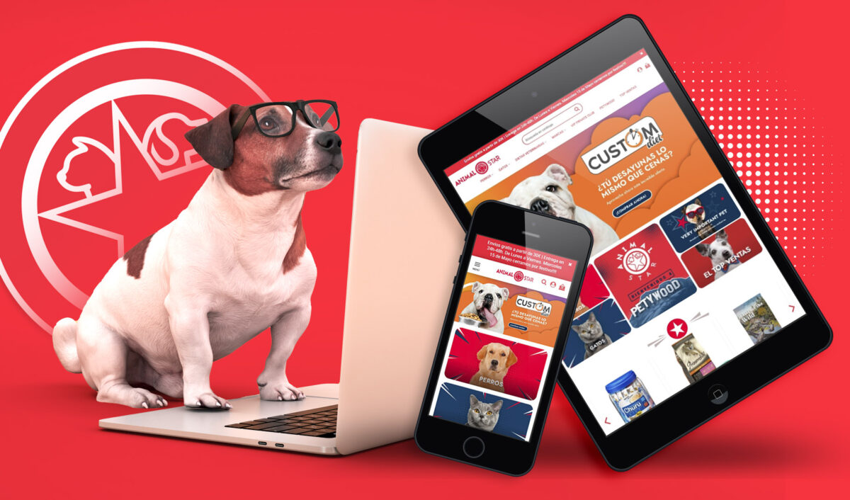 dashboard-proyecto-animal-star