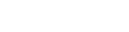 logo-animalstar Lanzamiento e-commerce desde cero